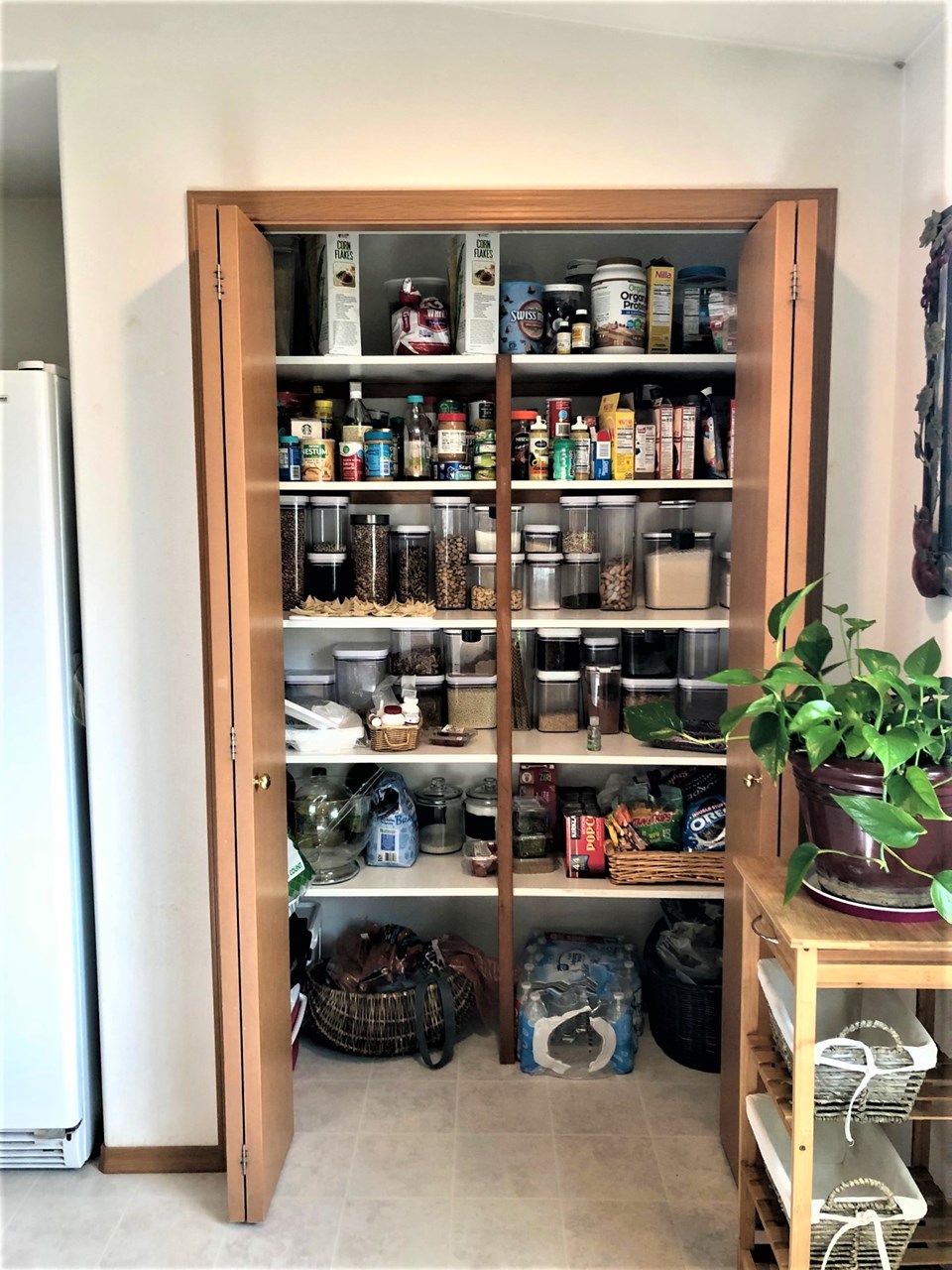 nice pantry with lots of shelving